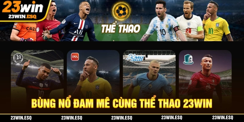 23WIN🎖️Link Đăng Ký Nhà Cái Uy Tín 23WIN.com Chính Thức 2025 17 Thể thao 23WIN mang đến hệ thông sảnh cược và kèo cược hấp dẫn